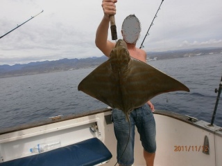 Muu kalalaji 7,00 kg